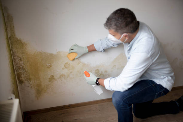 Best Mold Remediation for Healthcare Facilities  in Lehigh Acres, FL