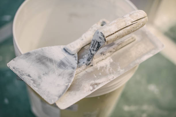 Best Airborne Mold Testing  in Lehigh Acres, FL
